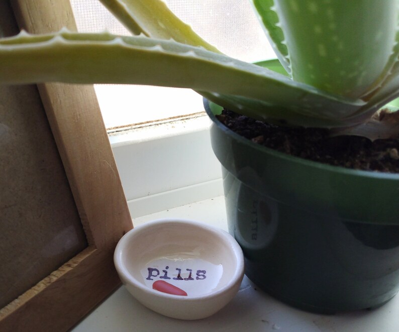 May include: A white ceramic dish with the word "pills" written on it in black lettering. The dish is sitting on a white surface next to a green potted aloe vera plant.