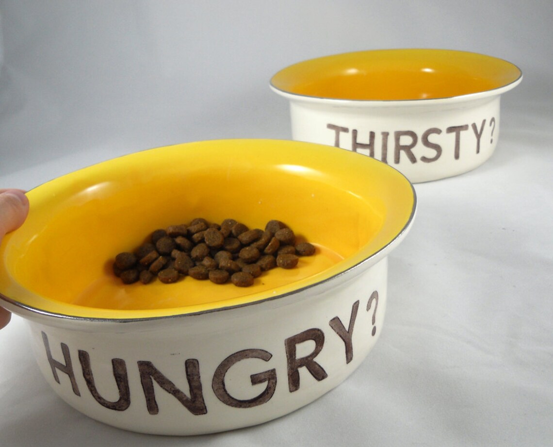 Set of Two PERSONALIZED PET DISHES for Cat Food Bowl Cat Water Etsy