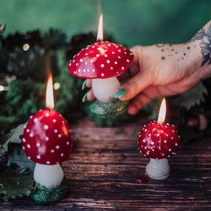 Mushroom pack Candle - Candles mushrooms Home Decor cottagecore