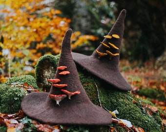 Witch hat with mushrooms forest wizard hat felted hat wool Halloween costume witch costume larp hat cosplay dark academia