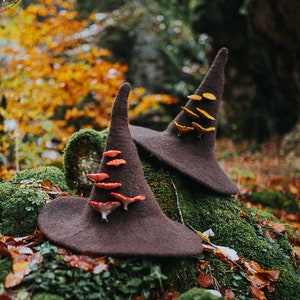 Witch hat with mushrooms forest wizard hat felted hat wool Halloween costume witch costume larp hat cosplay dark academia