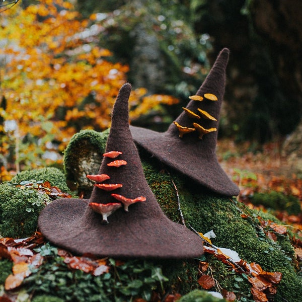 Chapeau de sorcière avec champignon forêt chapeau de sorcier feutre de laine déguisement d'halloween costume de sorcière GN chapeau cosplay dark academia