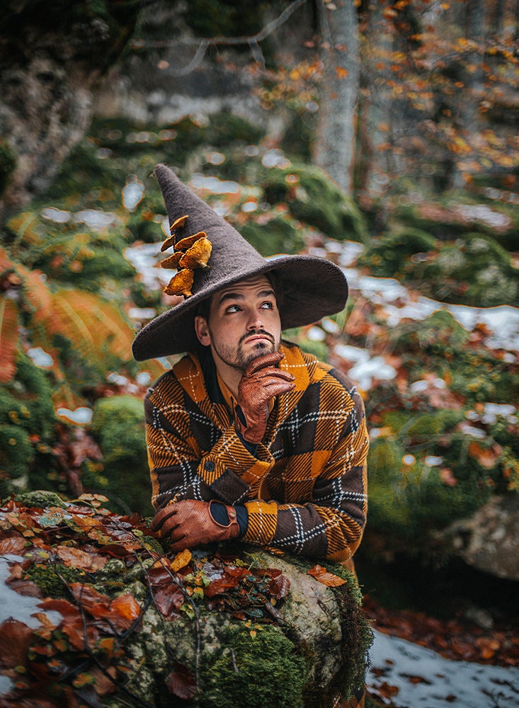 Felted Witch Hat With Mushrooms, Handmade Wool Wizard  display picture 2