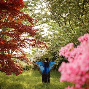 Blue Morpho Butterfly cape wings Butterfly Wings Blue Morpho scarf Festival Clothing image 10