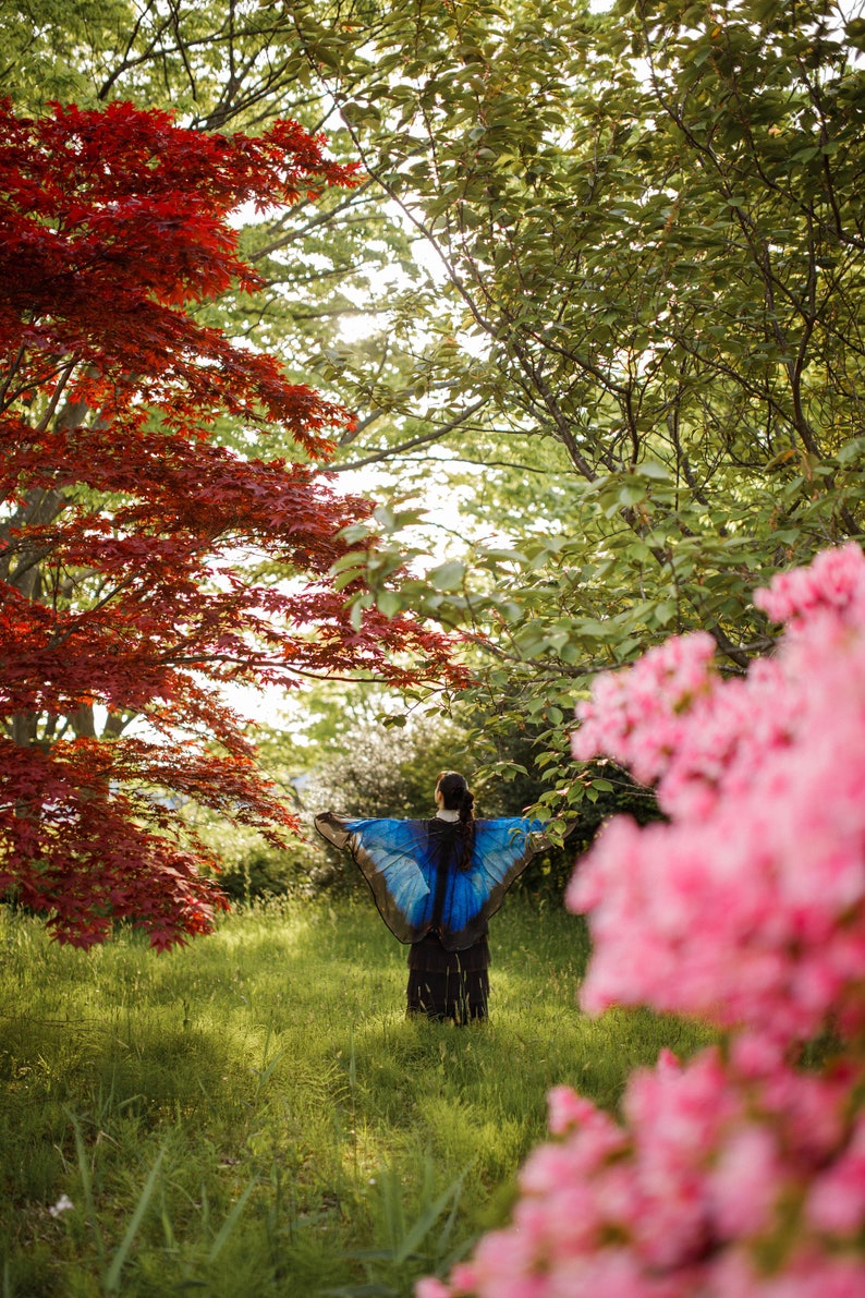 Blue Morpho Butterfly cape wings Butterfly Wings Blue Morpho scarf Festival Clothing image 10