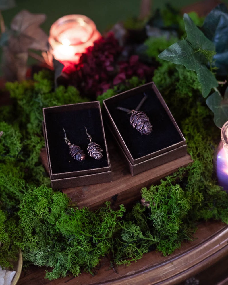 Pinecone set Flower Earrings, Resin Flower Earrings, Silver, Resin Jewelry, Natural Jewelry, mum gift image 1
