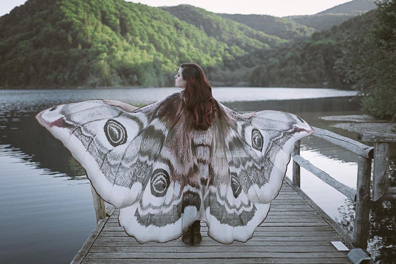 Moth wings costume butterfly cape fairy wings festival image 5