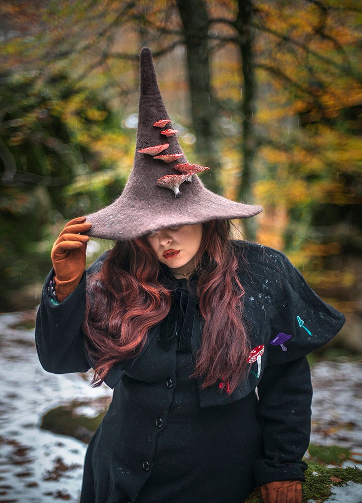 Witch Hat With Mushrooms Amanita 