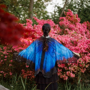 Blue Morpho Butterfly cape wings Butterfly Wings Blue Morpho scarf Festival Clothing image 4