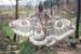 Moth wings costume  butterfly cape fairy wings festival clothing  burning man moth costume 