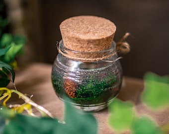 Gel Candle - Terrarium moss transparent Candle - Green Tea scent