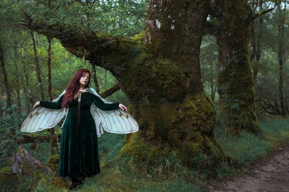 Festival Wings Cape Festival Wings Cape