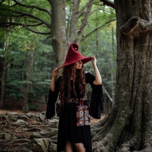 May include: A woman wearing a red pointed hat and a black dress with a leather belt and pouch stands in a forest.