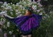 Purple Pink Butterfly Fairy cape cloak wings costume short small fantasy dance gothic lolita 
