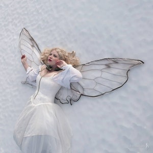 Fairy Wings Cicada natural white costume cape costume Festival Clothing Gelfling Dark Crystal cottagecore clothing image 6