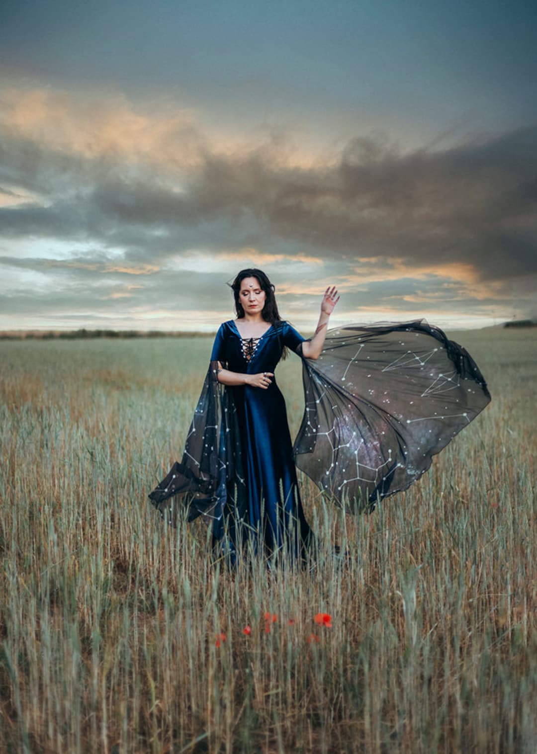 blue velvet medieval dress Blue Velvet Elven Dress, Celestial Constellation Gown