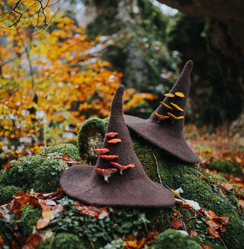 Witch hat with mushrooms amanita muscaria forest wizard hat felted hat wool Halloween costume witch costume larp hat cosplay dark academia 