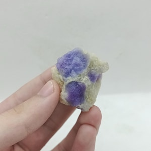 May include: A natural fluorite specimen featuring clusters of vibrant purple crystals set against a pale, off-white matrix. The mineral is held in a hand, showcasing its unique color and texture.