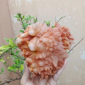 1470g Natural Stone Dog Tooth Calcite Crystal Cluster Mineral Specimen, From Balochistan, Good Size Crystals