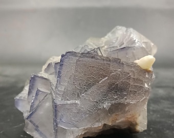 Ejemplar mineral de fluorita fantasma azul púrpura de 246 g, con cristal de calcita, procedente de Baluchistán. Pieza asombrosa.