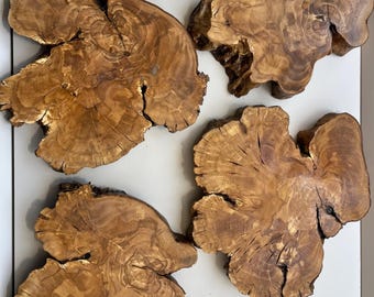 Rustic Olive Wood Slab: Charcuterie Board, Epoxy Resin Art (25x12 cm)