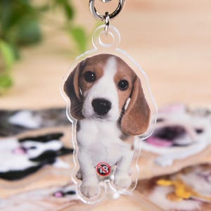 Personalized Pet Photo Keychain,Custom Cat Keychain,,Pet Portrait Keychain,Acrylic Keychain for Pet Lovers,Pet Memorial Gift,Dog Keychain