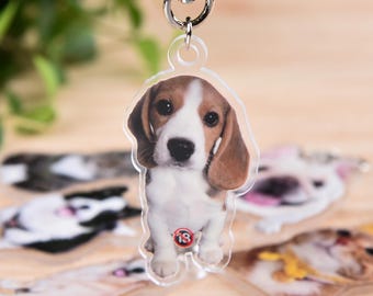 Personalized Pet Photo Keychain,Custom Cat Keychain,,Pet Portrait Keychain,Acrylic Keychain for Pet Lovers,Pet Memorial Gift,Dog Keychain
