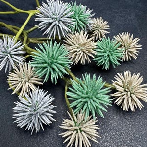 May include: A close-up of a decorative floral stem featuring multiple spiky, star-shaped blooms. The blooms are in shades of white, green, and beige, with a dark background. The stem is green and the overall aesthetic is botanical.