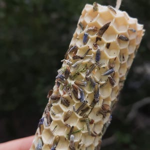White Protective Intention Beeswax Candle • Ritual energy candle protection from negative • Spiritual and Energy Shield, Handmade in Ukraine