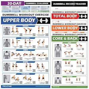 May include: Two workout posters featuring dumbbell exercises. The left poster shows upper body routines for triceps, shoulders, chest, biceps, and forearms. The right poster includes a record tracker, total body, lower body, and core and back exercises.