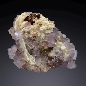 Puede incluir: Primer plano de un espécimen mineral que presenta un grupo de cristales de fluorita de color púrpura pálido. Los cristales tienen forma cúbica y están rodeados por una matriz de minerales blancos y marrones. El espécimen se encuentra sobre un fondo gris oscuro.