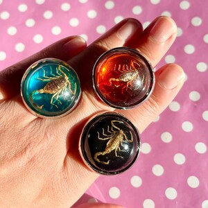 May include: Three round rings featuring scorpions preserved in resin. One ring has a teal background, another an orange background, and the third a black background. Each ring has a silver bezel.