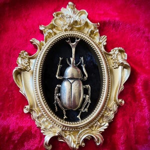 Brass horned dynastid beetle in a gold ornate frame