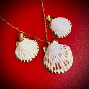 May include: Three seashell pendant necklaces with gold-coloured chains and trim. The shells are white with pink and brown markings. The background is a solid red colour.