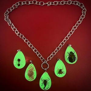 Puede incluir: Un collar de cadena plateada con seis colgantes verdes brillantes en forma de lágrima, cada uno con un insecto preservado. Los insectos incluyen un escorpión, una araña, un escarabajo, una hormiga y un cangrejo. El fondo es rojo oscuro.