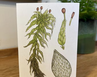 A6 Greetings Card - Sphagnum Moss