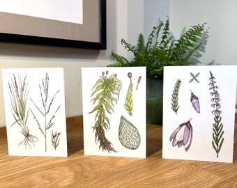 Set of Cards - Bog Plants