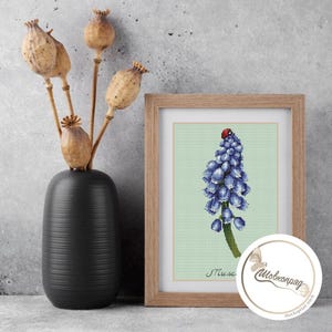 May include: A framed cross-stitch of a blue Muscari flower with a red ladybug on top. The artwork is in a light brown wooden frame. A black vase with dried seed pods is to the left of the frame. A round sticker is on the bottom right.