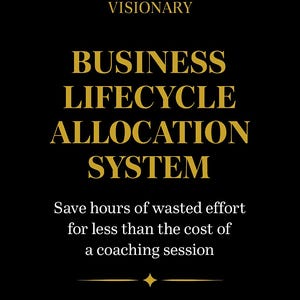May include: Black background with gold text promoting a business system. The text reads "BUSINESS LIFECYCLE ALLOCATION SYSTEM" and promises to save time. The price is displayed as $24.