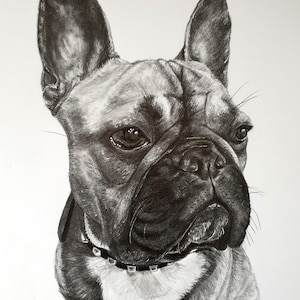 Graphite pencil drawing