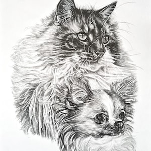 Graphite pencil drawing