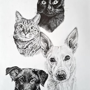Graphite pencil drawing