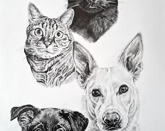 マウンテン ゴリラ、オリジナルのグラファイト鉛筆画。 - Etsy 日本