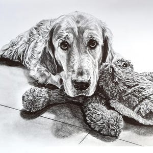 Graphite pencil drawing