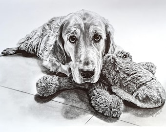 マウンテン ゴリラ、オリジナルのグラファイト鉛筆画。 - Etsy 日本