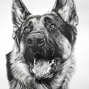 Graphite pencil drawing
