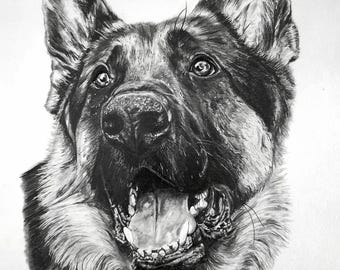 マウンテン ゴリラ、オリジナルのグラファイト鉛筆画。 - Etsy 日本