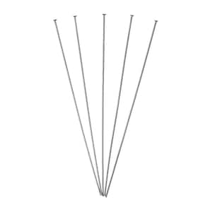 May include: Six silver-colored straight pins with rounded heads are arranged in a fan shape against a white background. The pins are thin and appear to be made of metal.