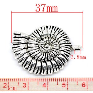 May include: Silver-toned metal ammonite charm with a spiral design. The charm measures 3.7 cm in length and 2.8 cm in width.