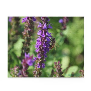 Rompecabezas &quot;Serenidad de la Naturaleza&quot; - 120, 252 y 500 piezas, regalo para amantes de la naturaleza, diversión educativa, actividad relajante y unión familiar.
